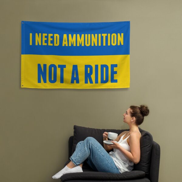 I Need Ammunition Not A Ride Flag