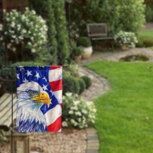 Bald Eagle Memorial Day 4th July Flag