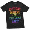 LGBT Ally Cat Shirt