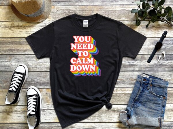 You Need To Calm Down Shirt