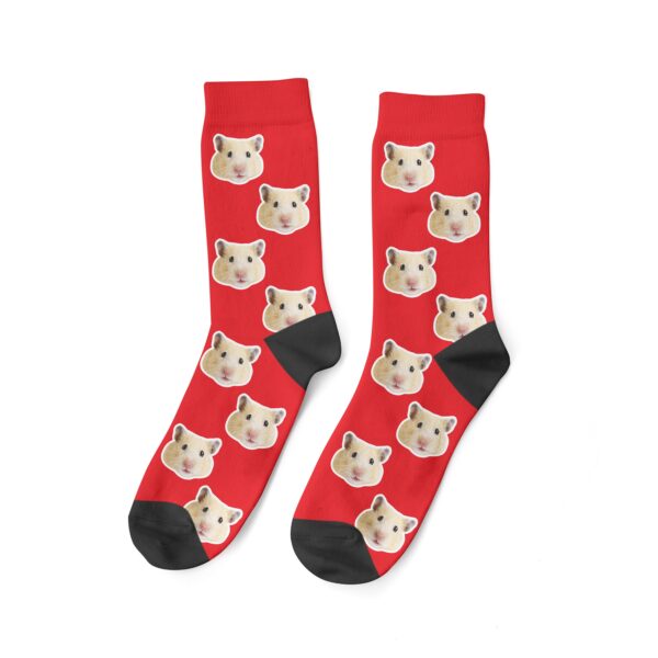 Custom Hamster Face Socks