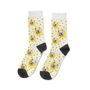 Sunflower Dog Socks Gift for Dog Lover