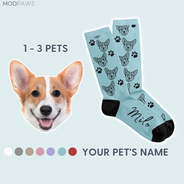 Modern Custom Pet Socks