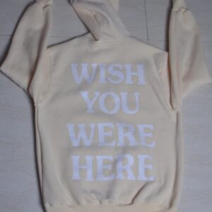 Vintage Embroidered Sweatshirt Hoodie Tee Astroworld Wish You Were Hoodie