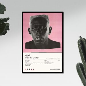 Tyler The Creator IGOR Album Art Poster Decor