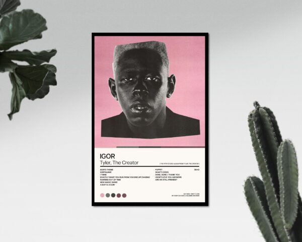 Tyler The Creator IGOR Album Art Poster Decor